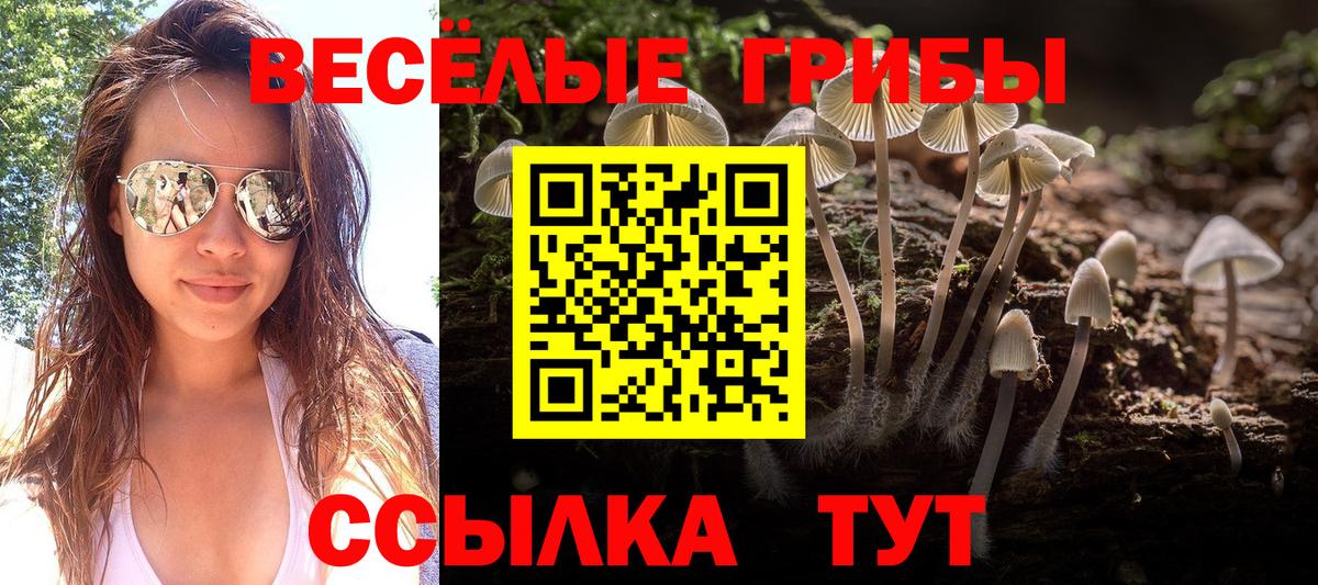 Галлюциногенные грибы мицелий Грозный